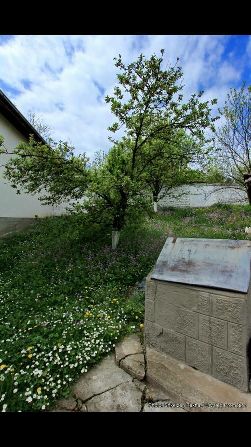 Bujtina Zhaveli Bed & Breakfast Gjakova Eksteriør bilde